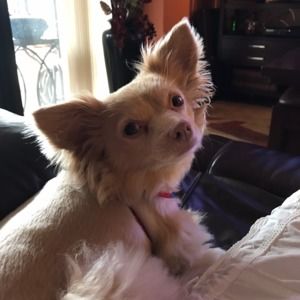 Meet your Posher, Bertha